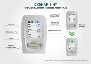 СКЭНАР-1-НТ (исполнение 01)  в Туапсе купить Нейродэнс ПКМ официальный сайт - denasdevice.ru 